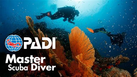 padi master scuba diver certification  nj scuba diving courses