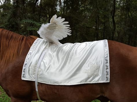 white horse wings feathered wings  horse pony  etsy