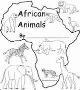 Afrika Tiere Preschool Afrikanische Enchantedlearning Continenti Projekt Grundschule Sabana Selva sketch template