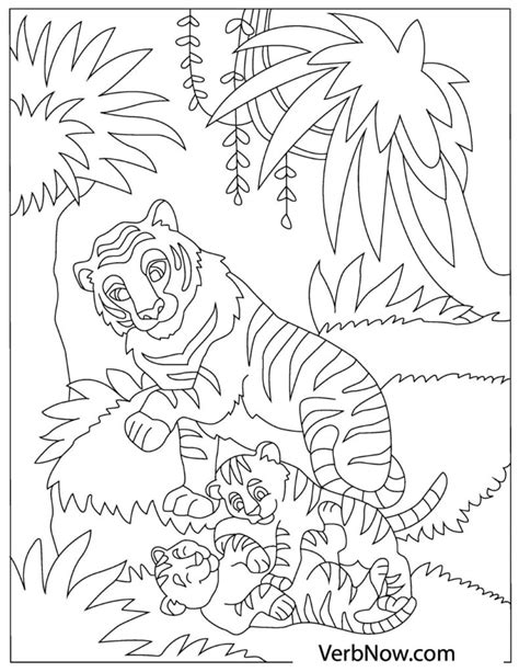 tiger coloring pages    verbnow