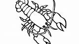 Lobster Coloring Getcolorings sketch template