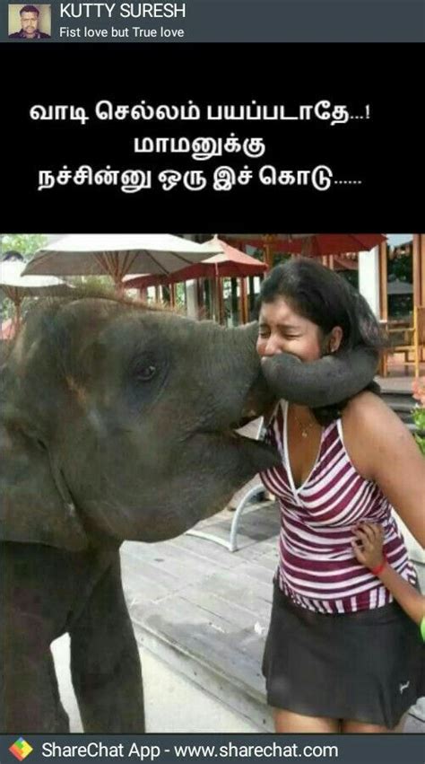 Pin By Durai Raj Uc On Funnies Funny Pictures Funny Memes Funny Jokes