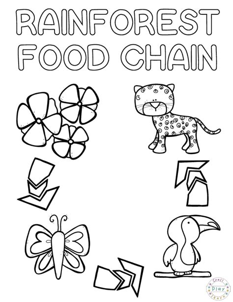 food chain pictures   coloring pages