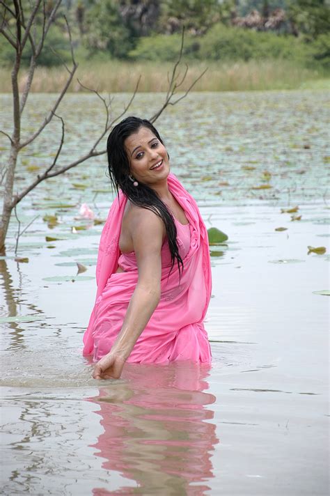 Indian Hot Actress Roopa Kaur Sexy N Spicy Hot Pics In Wet Pink Saree