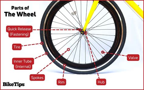 parts   bicycle explained comprehensive guide   bike