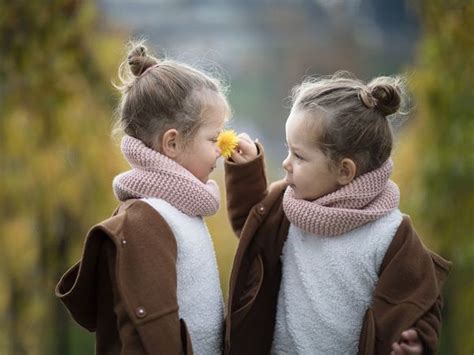 identical   research finds identical twins   genetically