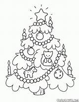 Albero Alberi Choinka Kolorowanka Colorkid Weihnachtsbaum Wieczornych Godzinach Stampare Abend Serata sketch template