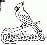 Cardinals Cardinal Cardenales Toppng Luis Fredbird Mascot Pngfind Pngkit Kindpng Steelers Louisville Nicepng Representation Vhv Oncoloring sketch template