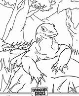 Komodo Dragon Coloring Pages Color Getdrawings Getcolorings Popular sketch template