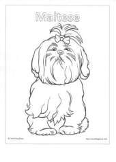kids puppy coloring pages