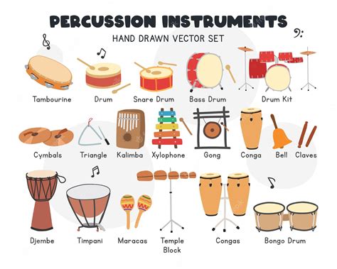 premium vector percussion instruments vector set tambourine drums