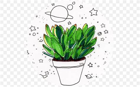 drawing plants sketch aesthetics art png xpx drawing aesthetics art cactus