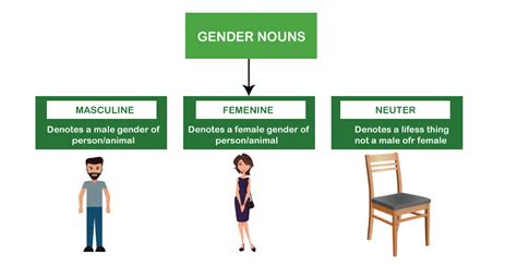 Gender In English Grammar Javatpoint