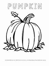 Coloring Pumpkin Thanksgiving Pumpkins Pages Printables Printable Harvest Print Book Bounty Celebrate Krokotak Kids Shop sketch template