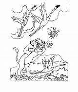Kleurplaat Leeuwenkoning Simba Kleurplaten Leone Coloriages Konig Lowen Malvorlagen Animaatjes Mewarnai 2923 Animasi Bergerak Disneymalvorlagen sketch template