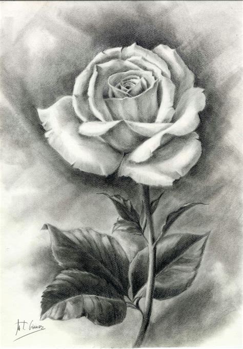 Account Suspended Pencil Drawings Of Flowers Beautiful Flower
