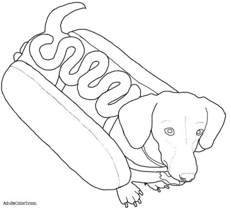 sausage dog  colouring pages