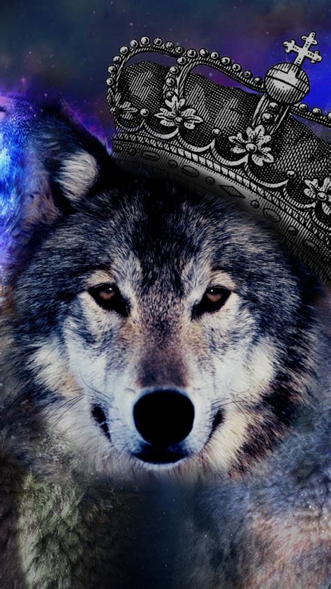 galaxy wolf wallpaper  images