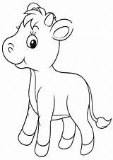 Calf Coloring Pages Animal Coloringway sketch template