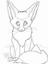 Fennec Fennek Ausmalbild Exoticos Newfoundland Niedlicher Mignon Disegno Volpe Meglio Exóticos Getcolorings Kategorien sketch template