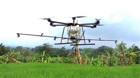 drone hope bikin petani bahagia opiniid