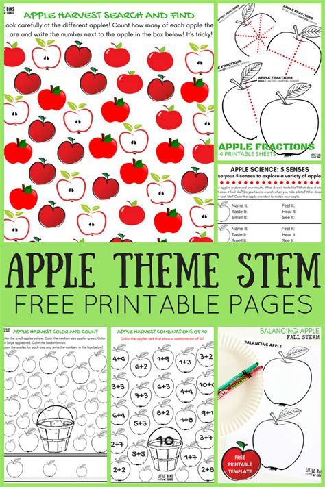 apple theme worksheets  apple stem activities  pages