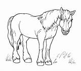 Colorare Disegni Cavallo Passeggiata Animali sketch template