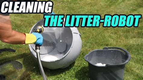 clean  litter robot  youtube