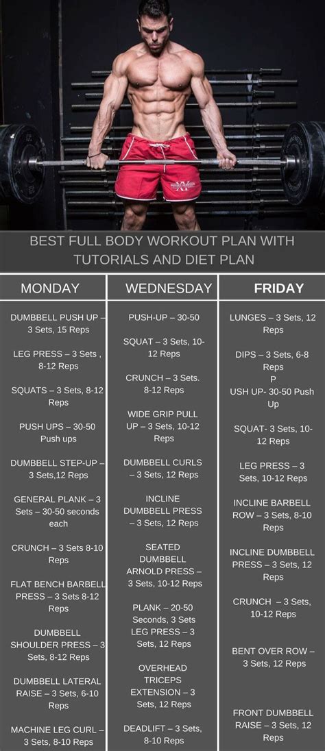 full body men and women workout plan to get ripped body workout plan