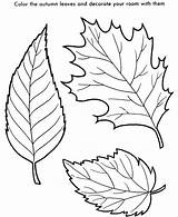 Jungle Coloring Leaf Pages Leaves Getdrawings Drawing sketch template