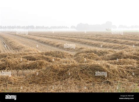 gemaaid land agriculture stock photo alamy