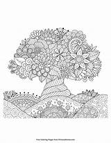 Mandalas Mandala Imprimir Arbol árbol Colorir Blooming Dibujar Elparquedelosdibujos Raste Enblog Druckbares Silueta Plantillas Arvores Primarygames Número sketch template