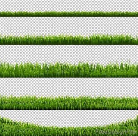 green grass borders vector illustration
