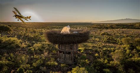 This Giant Bird S Nest Is Actually A Very Luxurious Safari Lodge Where
