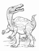 Dinosauri Dinosauro Stampare Carnivoro Coloradisegni Tarbosaurus Jurassic Personaggio Bambinievacanze Ispirazione Tablescapes Stampe Visita sketch template