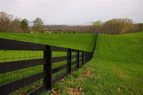 board kentucky fence holrob flickr