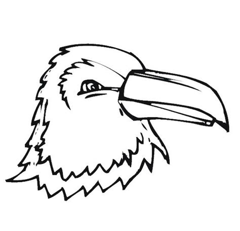 face eagle coloring pages kids coloring pages pinterest