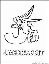 Jackrabbit sketch template