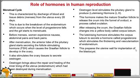 Role Of Hormones In The Human Reproductive System Youtube