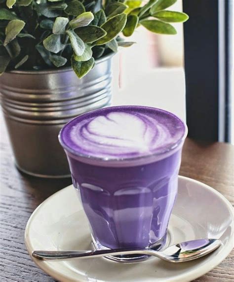 purple coffee shop inspiration