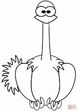 Ostrich Coloring Cartoon Pages Printable Categories sketch template