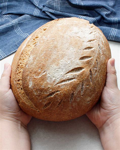 wild yeast bread gf vegan af sourdough recipe
