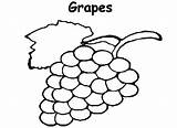 Grapes Coloring Pages Planting Color Colorluna sketch template