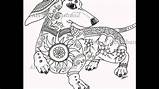 Dachshund Coloring Book sketch template