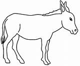Donkey Coloring Printable Animals Drawings Drawing sketch template