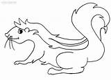 Skunk Coloring Pages Cool2bkids Printable sketch template