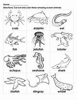 Ocean Animals Sea Coloring Pages Animal Creatures Kids Worksheets Printable Drawing Cards Amazing Under Tide Ecosystem Pool Preschool Marine Drawings sketch template