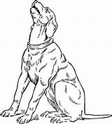 Coloring Pages Dog Coon Hound Basset Dogs Template Library sketch template