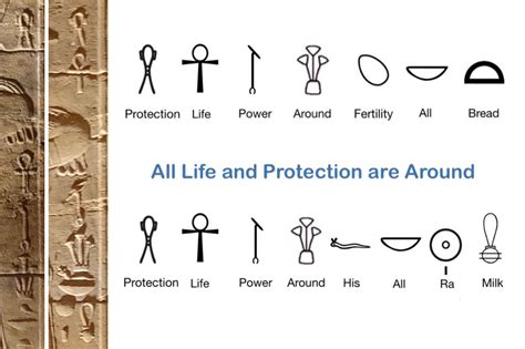 ancient egyptian symbol  life  ankhs meaning significance