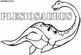 Plesiosaurus Coloring Pages Print sketch template